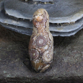 正品[外蒙戈壁玛瑙]外蒙戈壁玛瑙原石评测 外蒙