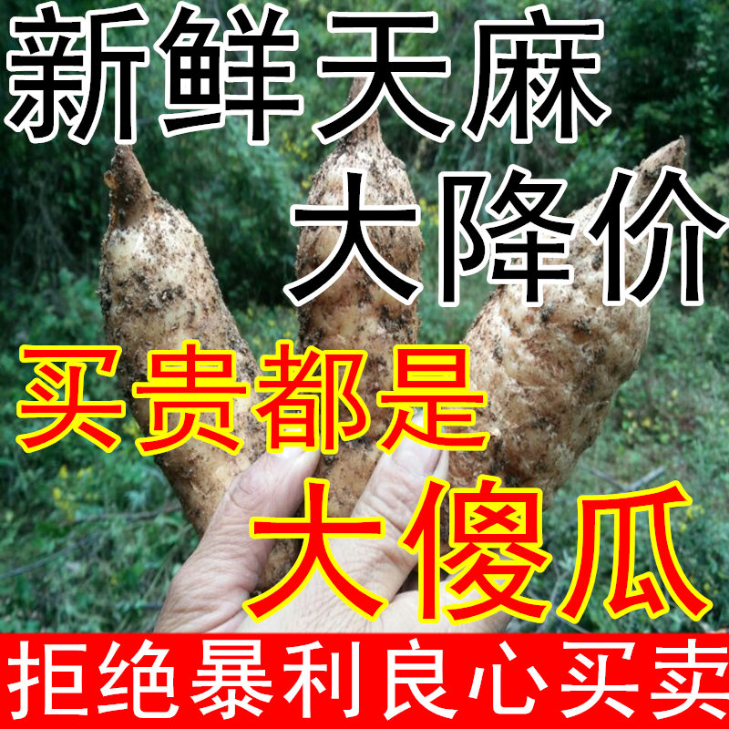 野生天麻云南昭通小草坝小金麻500克正品包邮可免费切片磨超细粉