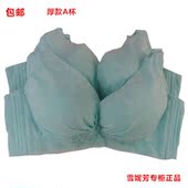 正品 A杯聚拢丰胸上托调整型胸罩内衣X61417 雪妮芳文胸加厚款 包邮