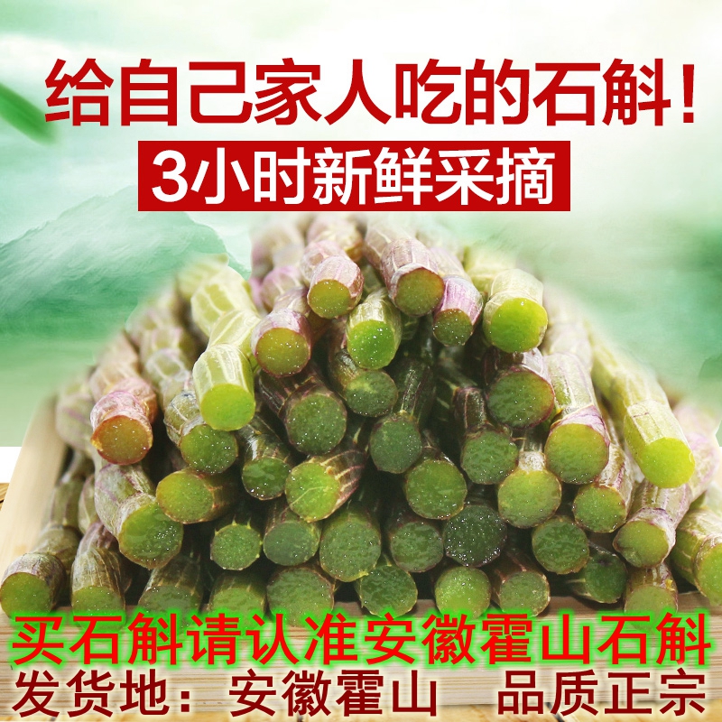新鲜霍山三年铁皮石斛鲜条铁皮枫斗米斛仿野生生态石斛苗盆栽绿植