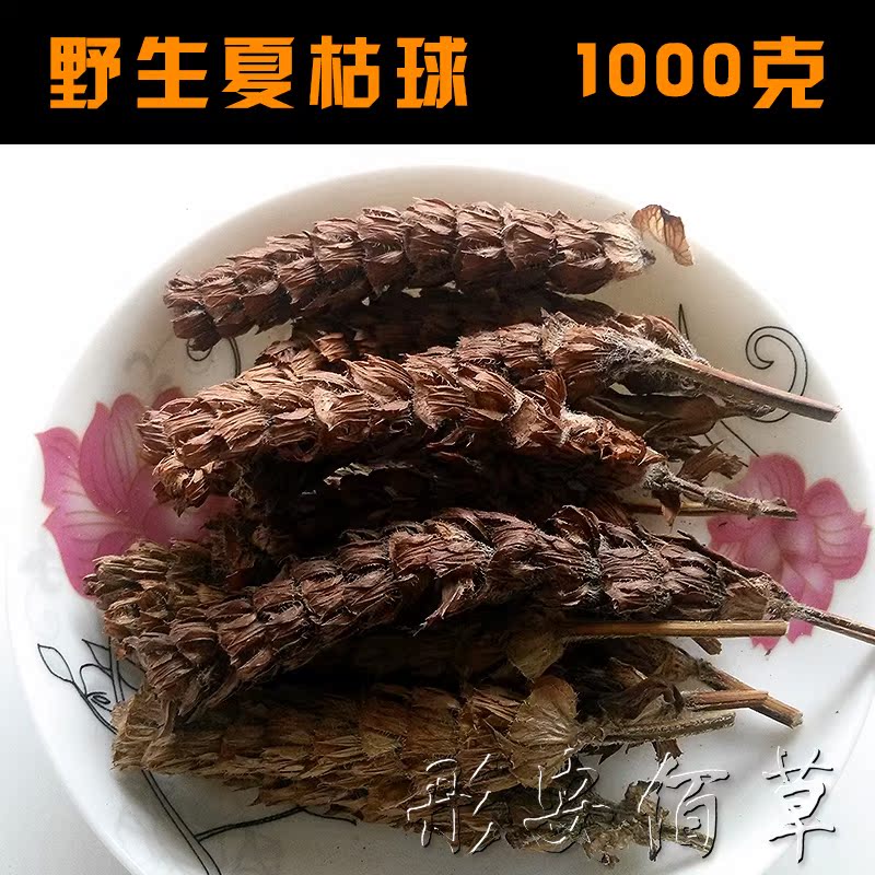 中药材批发 纯天然野生夏枯球 夏枯草 中药材 夏枯草1000g