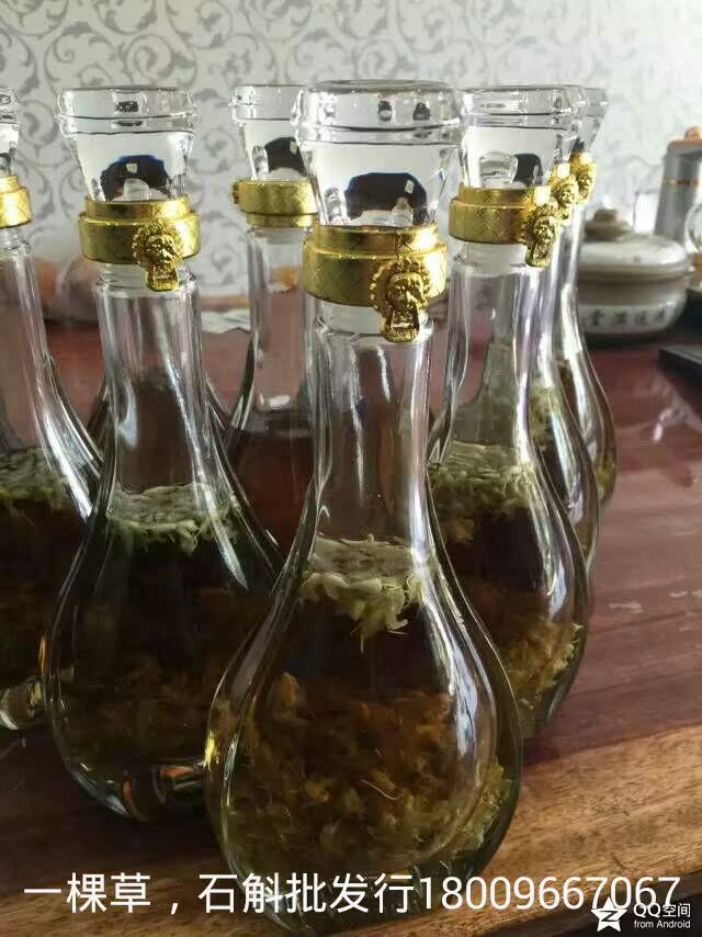 久丽康源 铁皮石斛酒西洋参马鹿茸黄精淫羊霍养生酒泡酒瓶装药酒