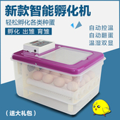 中信孵化机全自动家用型小鸡小型鸟蛋孵化器水床孵蛋器鸽子孵化箱