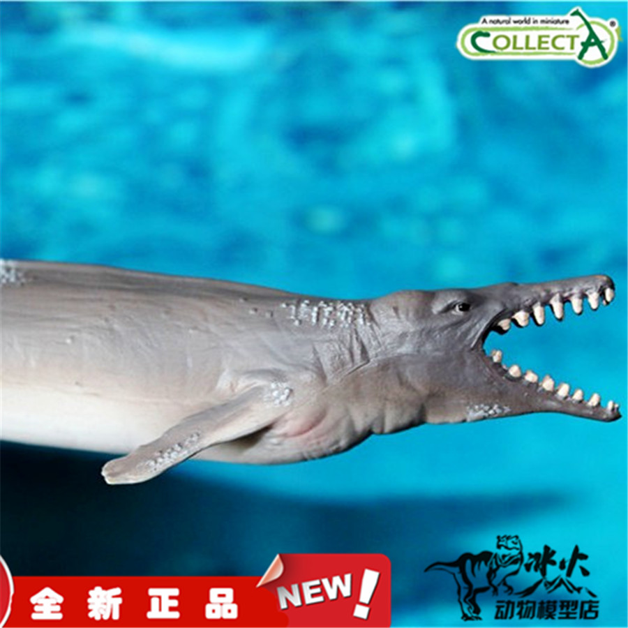 collecta我你他 2017 史前动物 龙王鲸 88797全新正品现货,欢迎购买.
