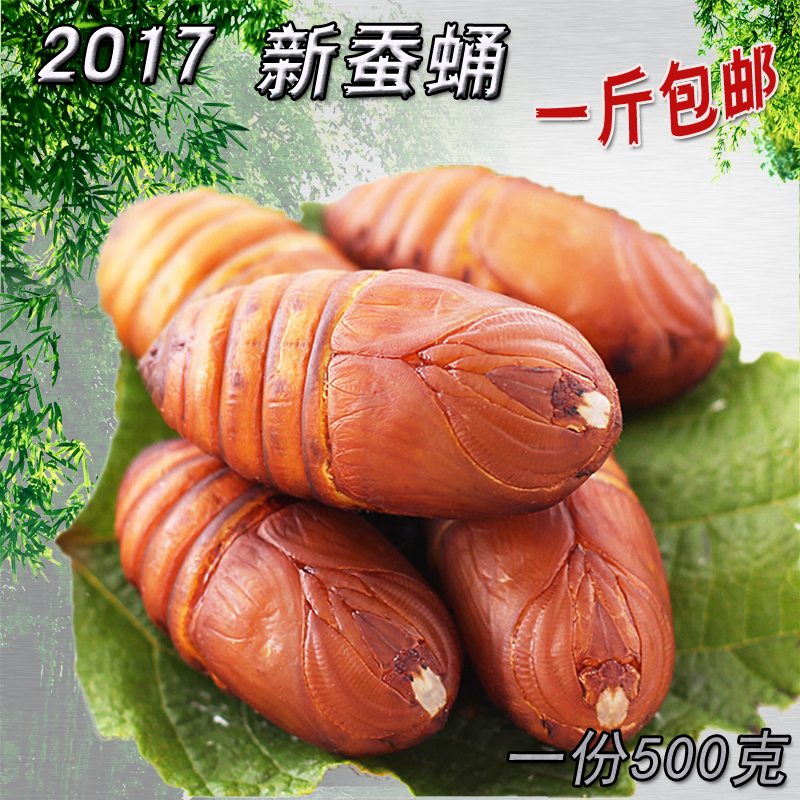 蚕蛹东北特产新鲜活蚕蛹野生大鲜活黄柞蚕蛹 活茧蛹500g 2斤包邮