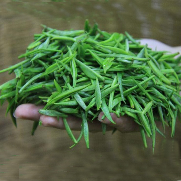 [买1送1]茶叶绿茶西湖龙井2016新茶雀舌信阳毛尖茶碧螺春散装组合
