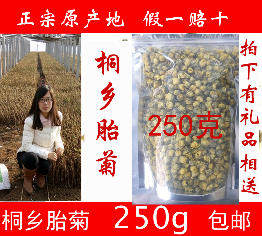 2016菊花茶桐乡胎菊王 正宗特级头茬杭白菊 散装250g包邮