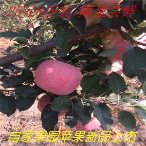 【新鲜水果】最新淘宝网新鲜水果优惠信息