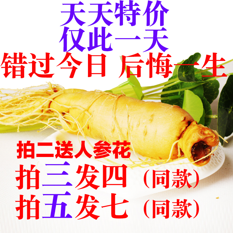 3送1长白山新鲜人参 保鲜参 白参园参8年参单支重75g