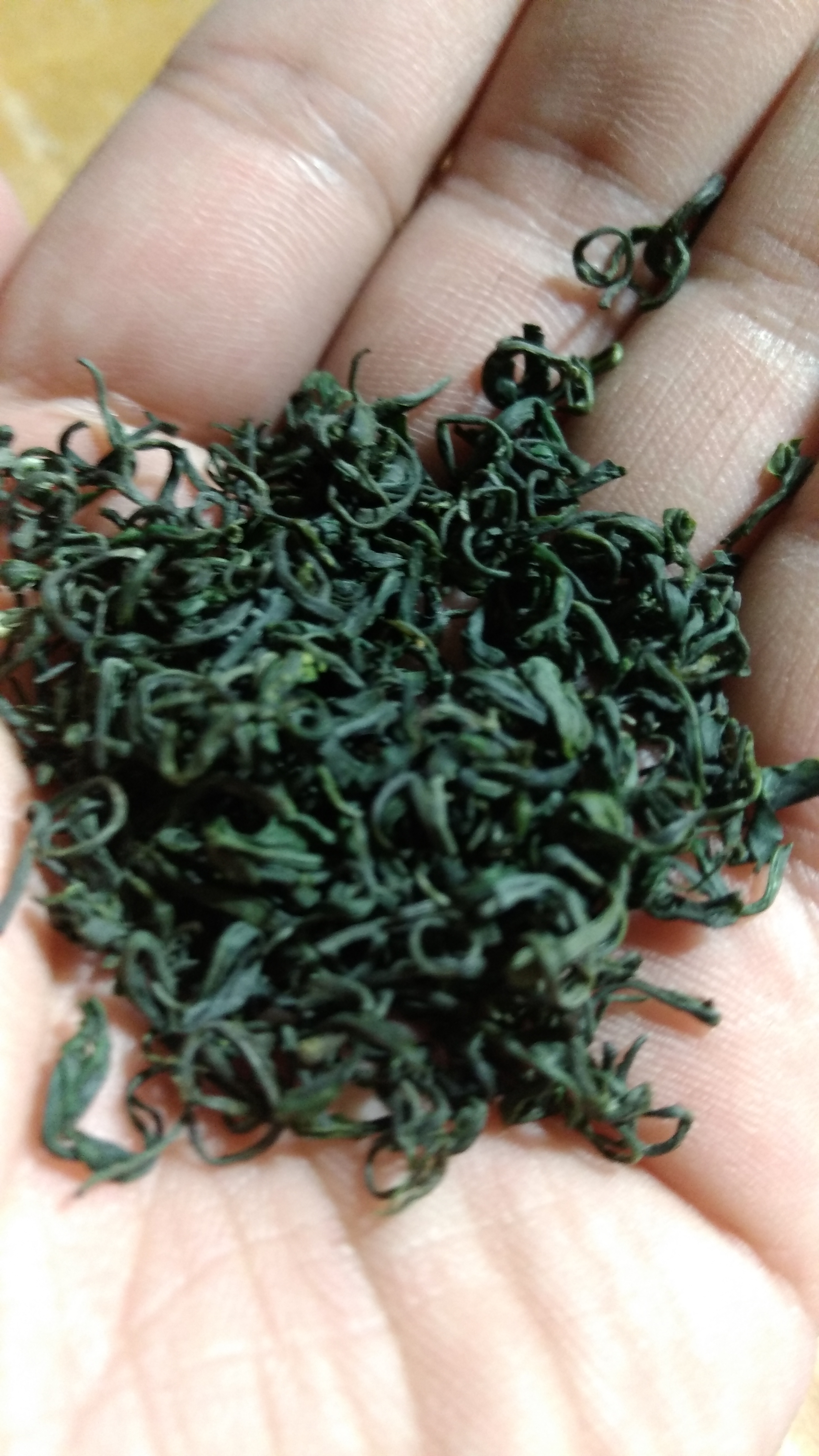 绿茶浙江正品250g包装庐山云雾