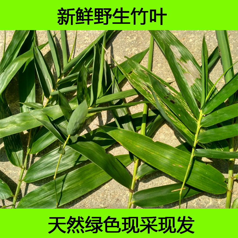 花草茶 正宗石竹叶茶 石竹茶 特级石竹叶100克 花草茶