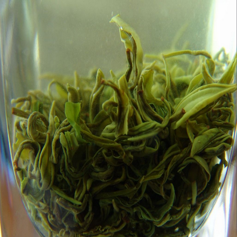 春茶新茶2016毛峰绿茶茶叶特级峨眉山早春绿茶散装特级茶叶250克