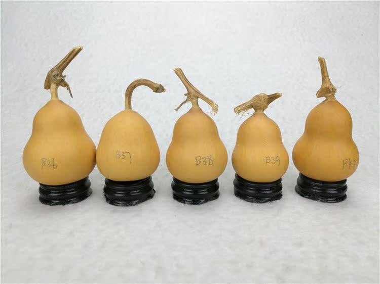 精品天然美国葫芦铁包金把玩文玩葫芦手捻小胖墩一物一图b36-40