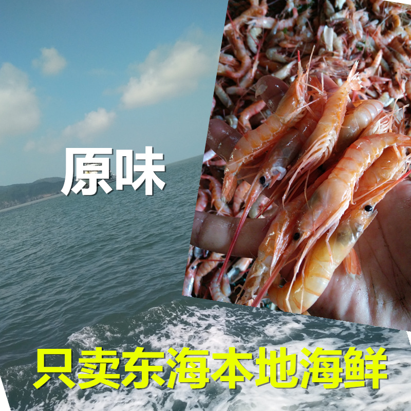东海野生海虾新鲜红绿头虾 海鲜水产