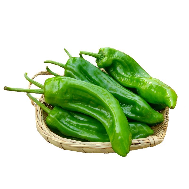 农家自种新鲜青椒 辣椒 芜湖椒 菜椒薄皮椒 尖椒螺丝椒青辣椒