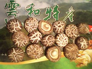 干货小香菇 香菇丽水云和梯田特产花菇500g新款