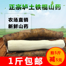 5斤 包邮 温县垆土铁棍山药 铁杆山约 正宗 淮山 新鲜怀山药 焦作
