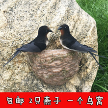 摄影道具教学模型 饰品 美陈装 小鸟燕窝燕巢鸟窝 仿真燕子