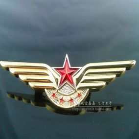 正品[飞行员胸章]安全员胸章评测 中国军衔等级