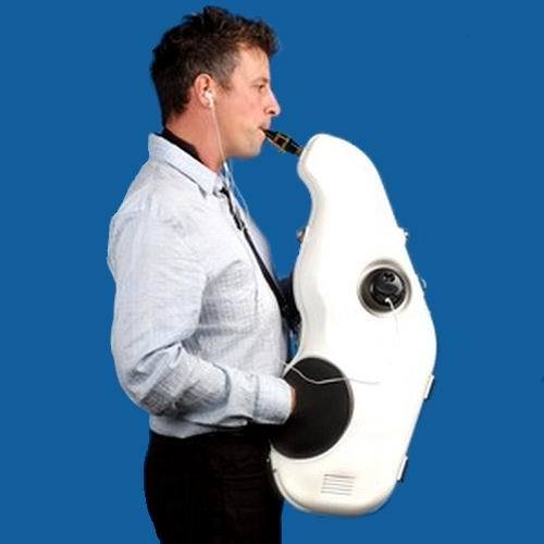 正品[弱音枕]弱音评测 弱音h本子图片