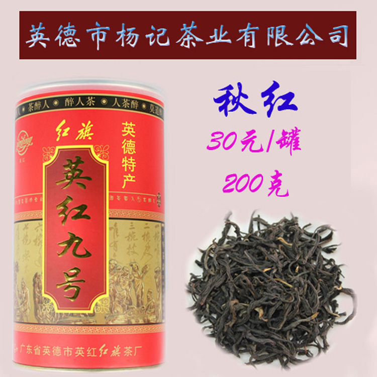 特产正宗英德红茶英红九号春秋茶新茶鸿雁日月英9清浓香包邮