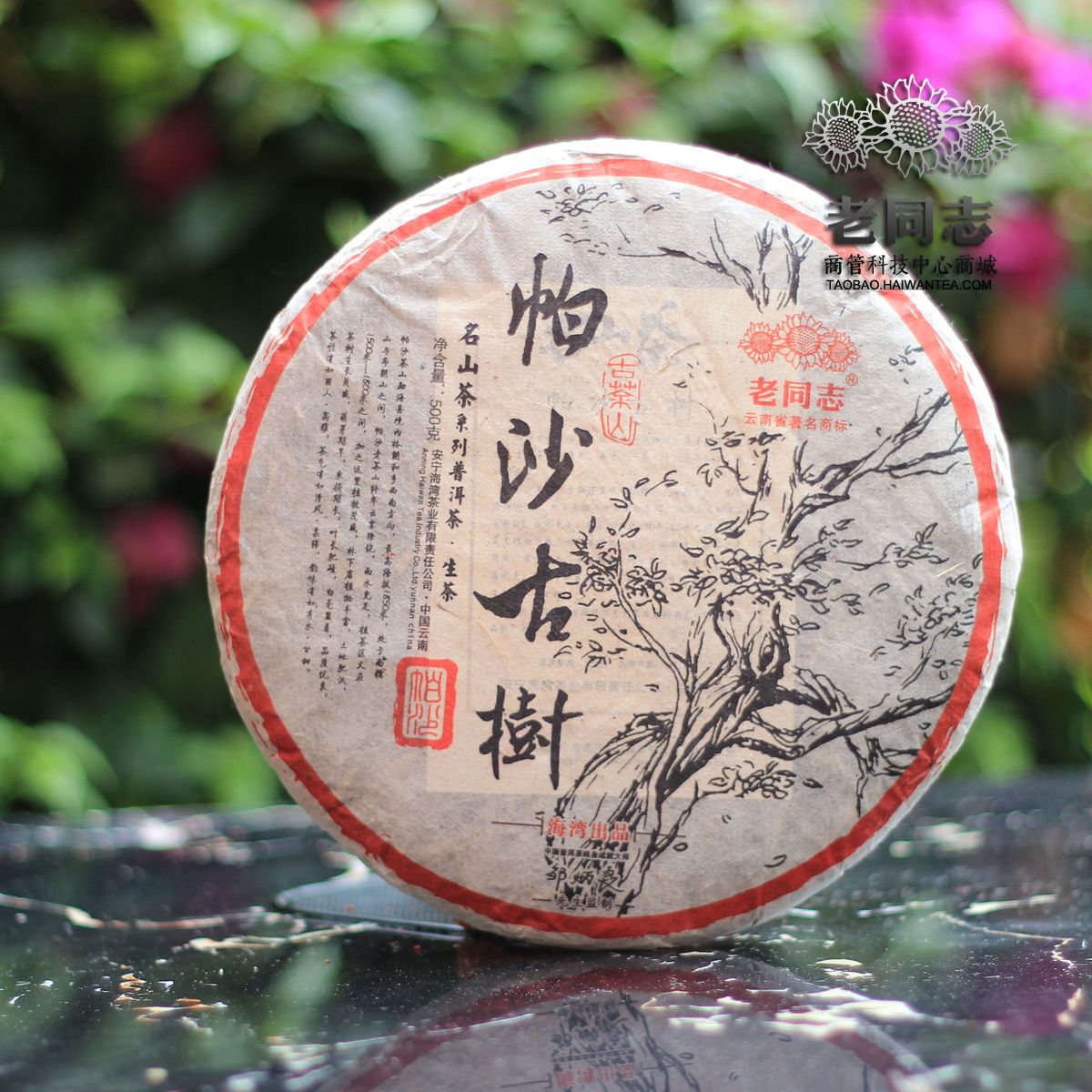 老同志数码防伪■普洱茶 生茶 2015年早春茶 易武正山 乔木青饼