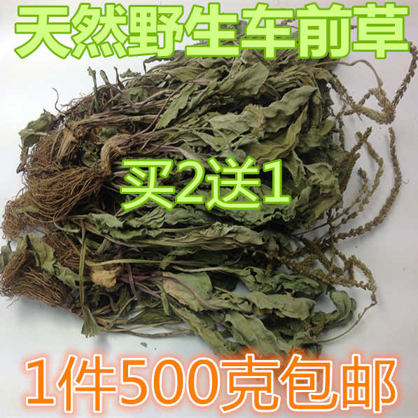 天然野生中药材 优质野生车前草 车轮菜 买二送一 19.8一斤包邮