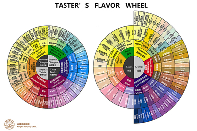 scaa反文化咖啡风味轮 高清中英双语 a4便携版 咖啡学习者必备