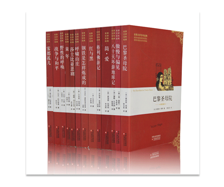 世界文学百年经典系列丛书套装书 13本一套