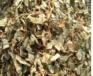 新货中药材中草药专卖 大叶金钱草  500克