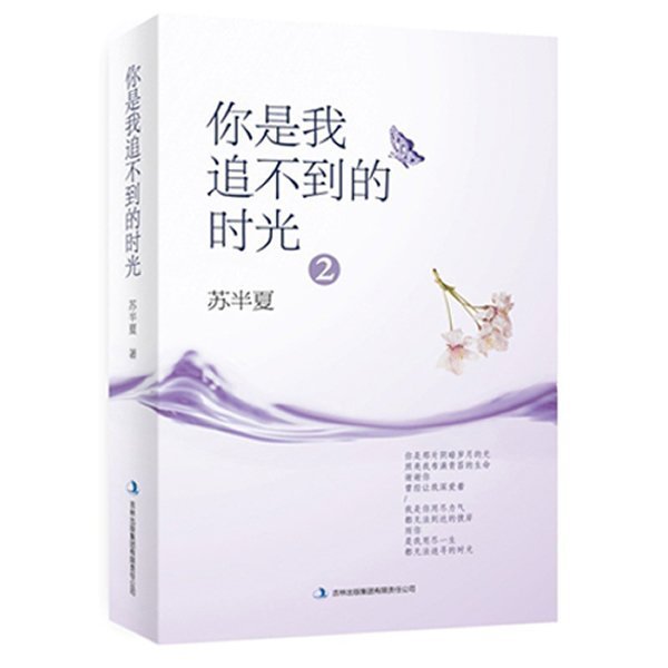 正版现货 你是我追不到的时光2 苏半夏著 你是那片阴暗岁月的光 爱情青春言情疼痛类小说书籍