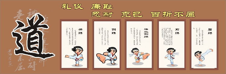 跆拳道武场馆励志精神宗旨学生守则简介礼仪墙壁装饰挂画贴画包邮