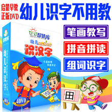 正版少儿童早教学习认字教学幼儿识字DVD光盘宝宝识字不用教碟片