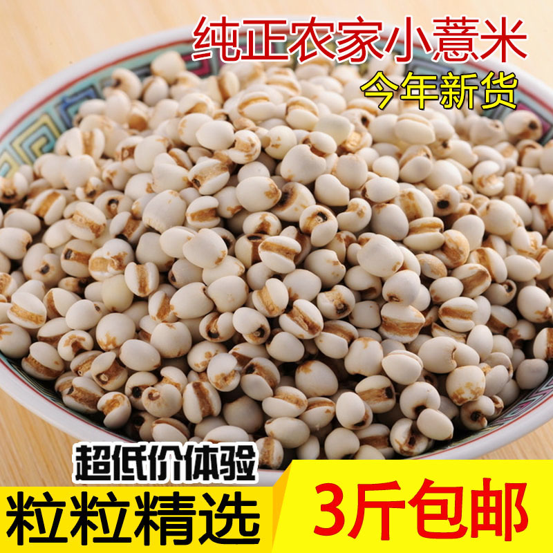 精选小薏米仁 薏米 有机薏仁米 苡米仁250g 沂蒙山区特产粗粮包邮