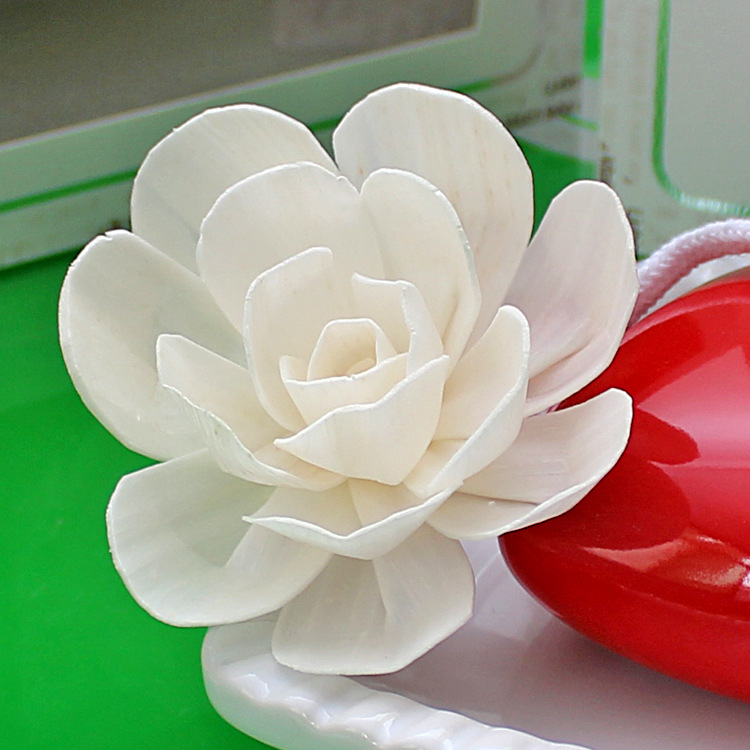 年中大促热卖无火香熏配件藤条干花香氛样板房摆设泰国玫瑰通草花