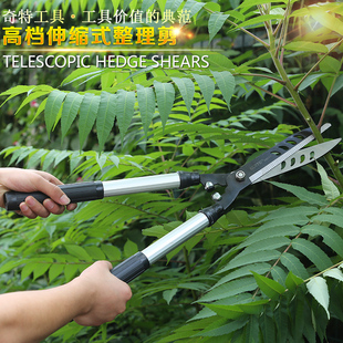 奇特 园林花木修剪 绿篱剪 园艺修枝剪 工具篱笆剪树枝大剪刀