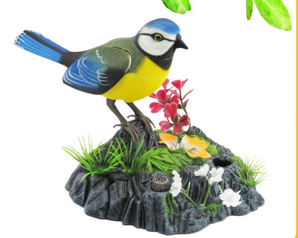 正品[小鸟 txt 书包]acome小鸟txt书包网评测 