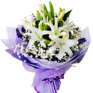 百合花 大连生日鲜花速递同城 新年鲜花预定 百合花速 市区免费送花
