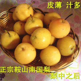 特产 南果梨 南国梨 鞍山特产 梨中之王皮薄汁多