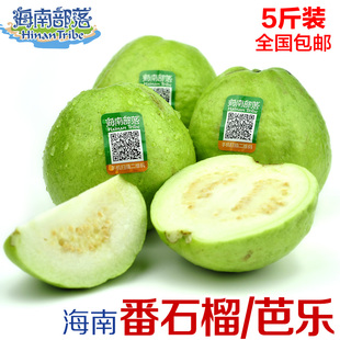ϲ ˮ 鷬ʯ 5װ ز