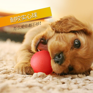 【宠物狗磨牙玩具】最新淘宝网宠物狗磨牙玩具