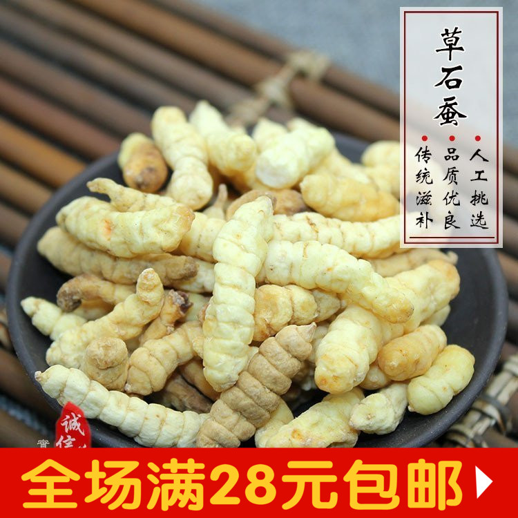 中药材 草石蚕 泽兰根 地蚕 土冬虫草 白冬虫草 白虫草