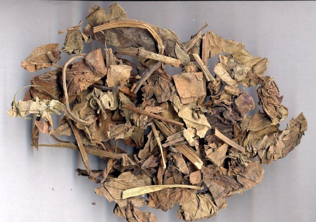 中药材批鱼腥草 纯天然优质鱼腥草干货 500克