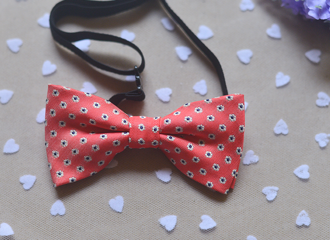 正品[学生 领结]学生领结的打法评测 领结图片_惠惠购物