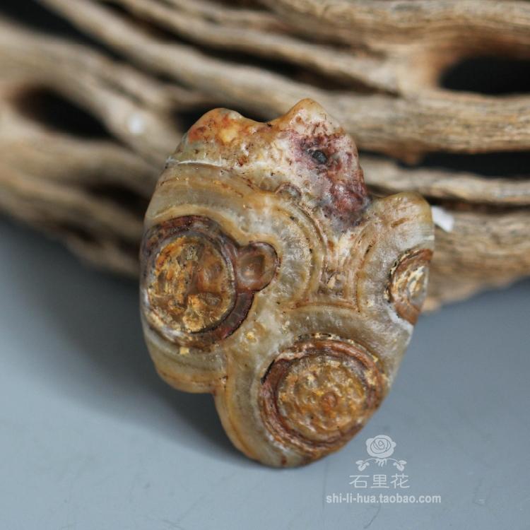 正品[石头剪刀布 英文]石头剪刀布英文歌评测 石