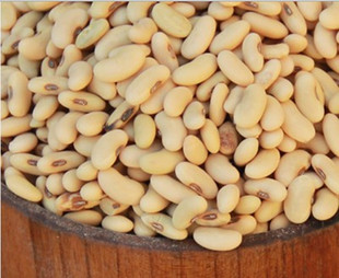 四川有机老品种长粒肾形黄豆纯天然大豆豆浆豆芽专用非转基因黄豆