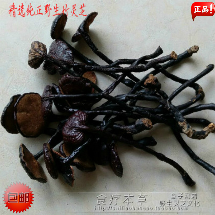 海南野生灵芝 特级野生竹灵芝 精选竹灵芝 美容 免疫调节250克