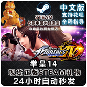 FIGHTERS XIV 拳皇14 KING KOF14格斗之王THE PC中文正版Steam