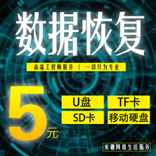 数据恢复移动硬盘u盘修复sd卡格式化文件内存卡开盘电脑远程服务