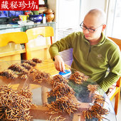 2017新干草野生头期虫草礼盒1克4条 藏秘珍坊西藏那曲冬虫夏草正品